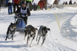 Lenk 2012 SM